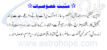 Gemini Positive Traits